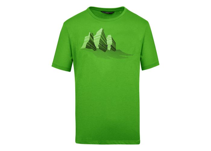 Salewa Lines graphic dry Pánske rýchlochnúce tričko green 