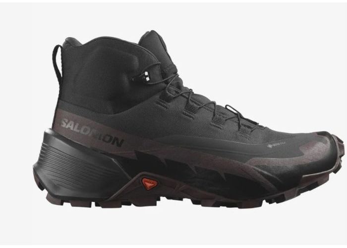 Salomon Cross Hike MID 2 GTX  W Phantom/chocolate