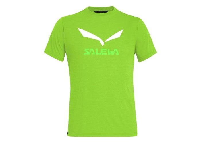 Salewa Solidlogo Dry M T-Shirt pale frog melange